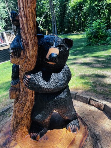 Momma bear keeping a watchful eye out, cub behind her, close-up