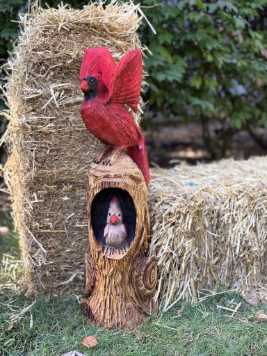 Cardinals in stump, female perched and male stretching wings